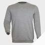 The product picture