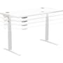 The product picture