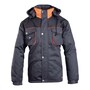 The product picture