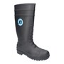 The product picture