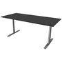 The product picture