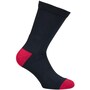 The product picture