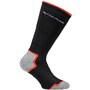 The product picture
