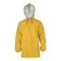 The product picture