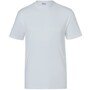 The product picture