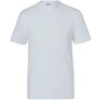 The product picture
