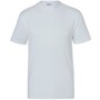 The product picture