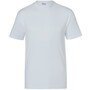 The product picture
