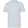The product picture