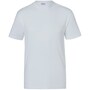 The product picture