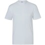 The product picture