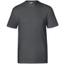 The product picture