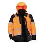 The product picture