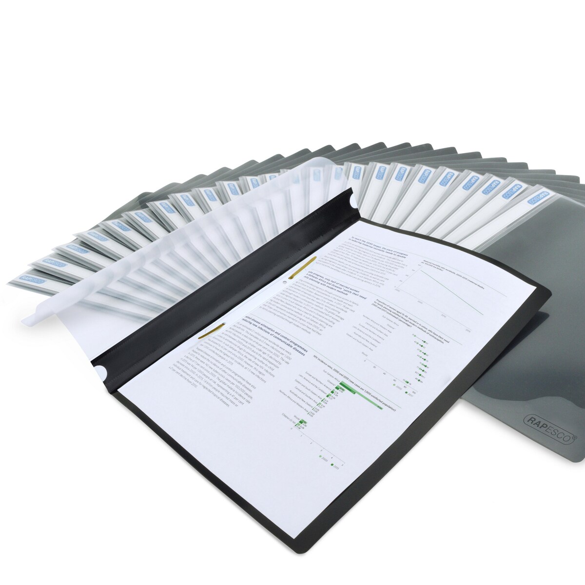 Rapesco Eco Recycled A4 Report Files PK25 1