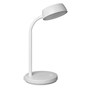 The product picture
