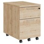 The product picture