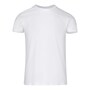 The product picture