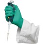 The product picture