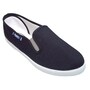 The product picture