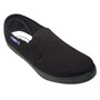The product picture
