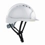 The product picture