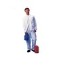 The product picture