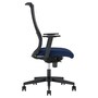 The product picture