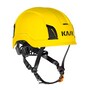 The product picture