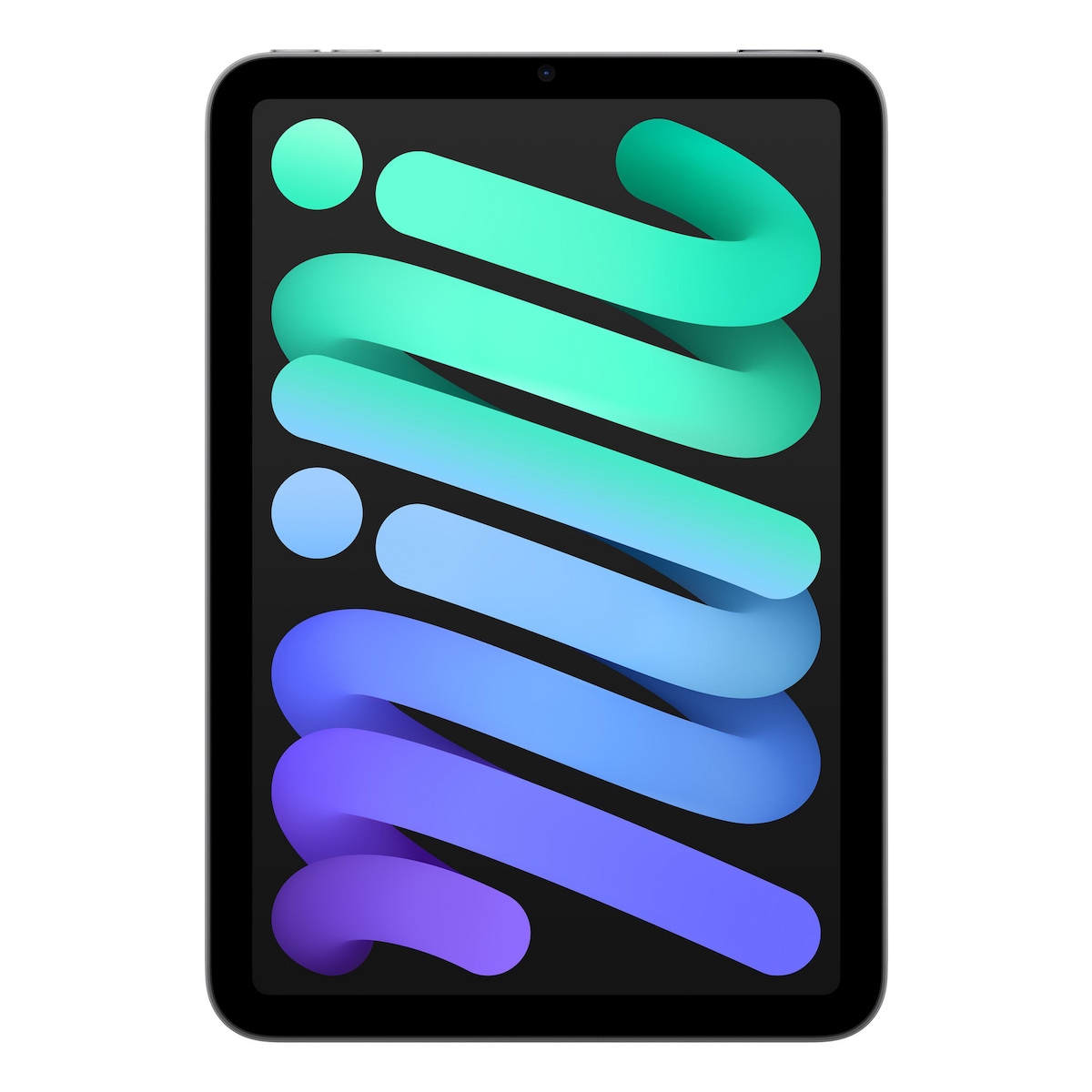 Apple iPad mini Wi-Fi 128GB Space Grey 1