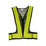 The product picture
