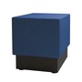 The product picture