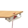 The product picture