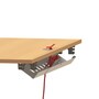 The product picture