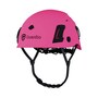 The product picture