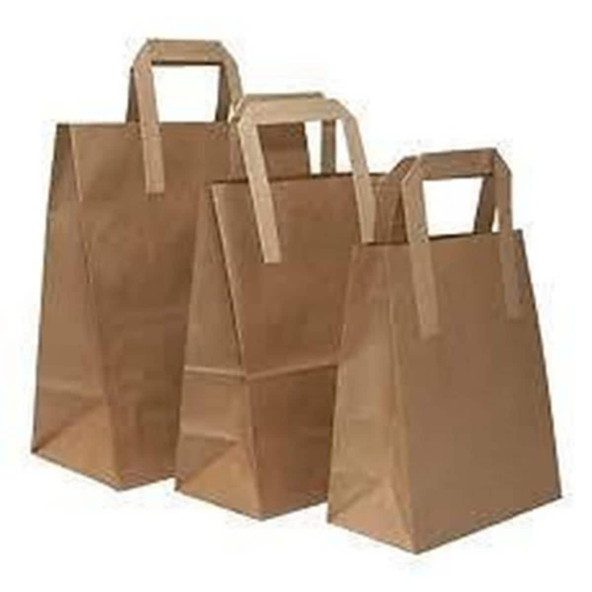 Kraft Paper Bag Brown 10X8.5' 1