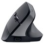 The product picture