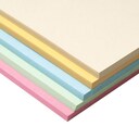 Pastel Card A4 225GSM - Pack of 250 1