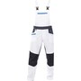 The product picture