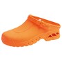 The product picture
