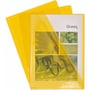 The product picture