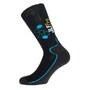 The product picture