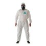 The product picture