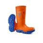 The product picture
