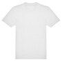 The product picture
