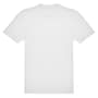 The product picture