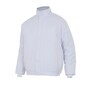 The product picture