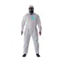 The product picture