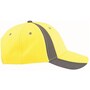 The product picture