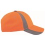 The product picture