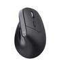 The product picture